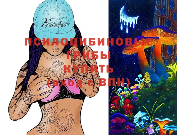 мдпв Армянск