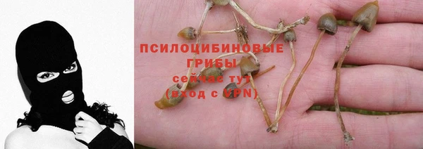 дурь Арсеньев