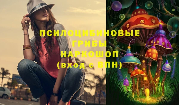 каннабис Аркадак