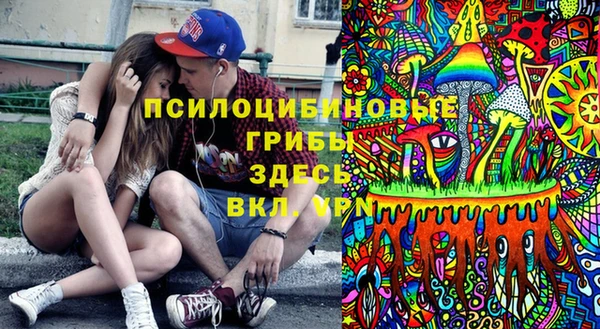 дурь Арсеньев