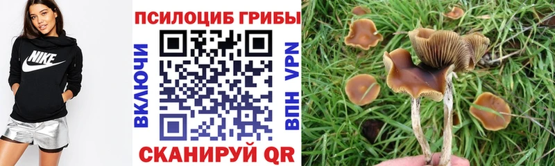 Галлюциногенные грибы ЛСД  Купить закладки  Кимры 